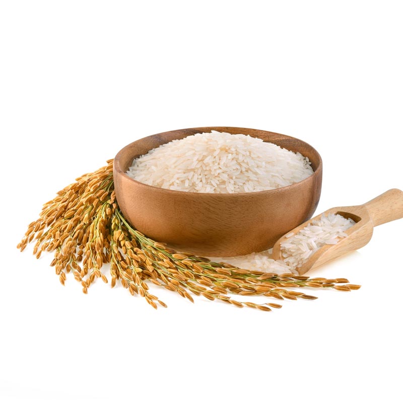 Non Basmati Rice